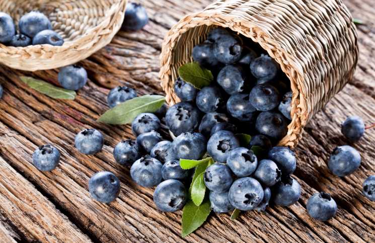 Top 9 Bilberry Herbal Supplements