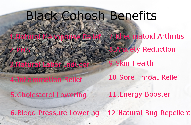 Black Cohosh Benefits