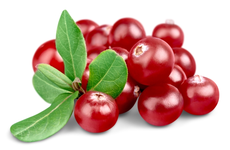 Best Cranberry Herbal Supplements