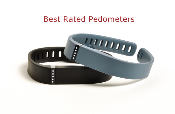 7 Best Pedometers