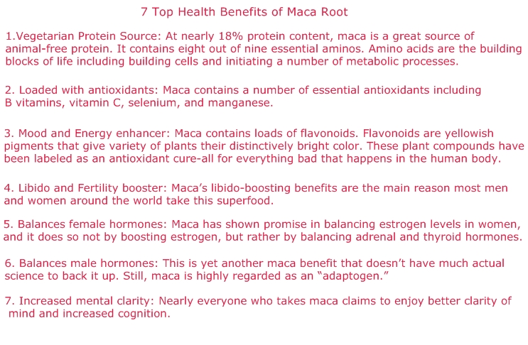 Best Maca Root Supplements