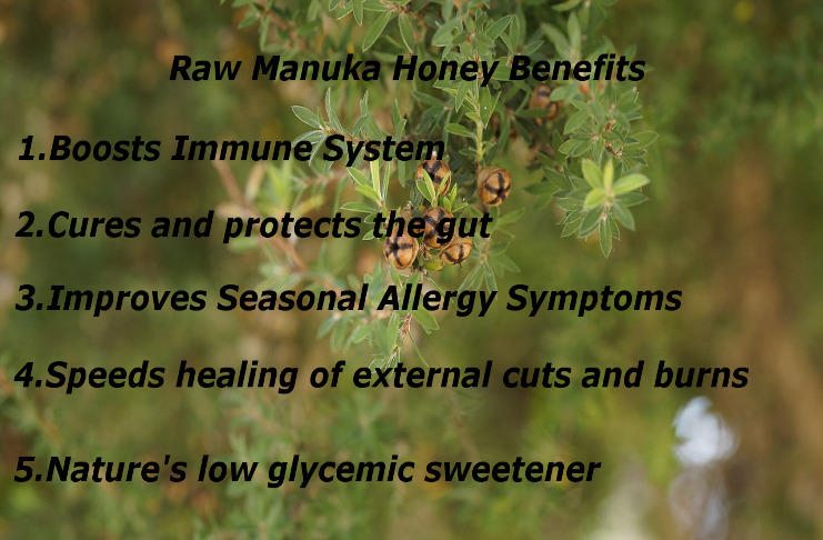 Raw Manuka Honey Benefits
