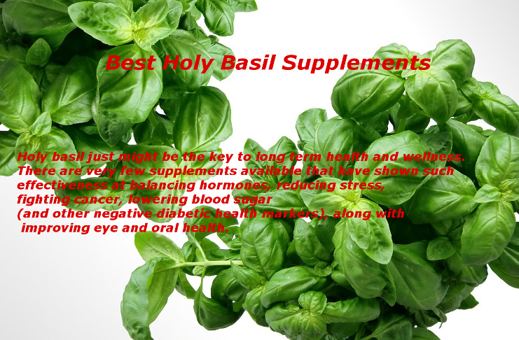 Best Holy Basil Supplement Brands