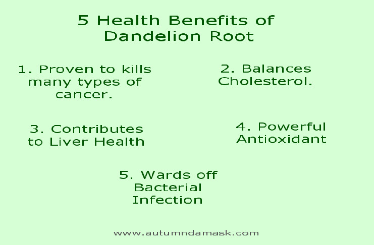Dandelion Root Benefits Infographic