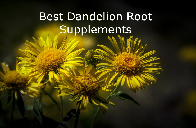 Best Dandelion Root Supplements