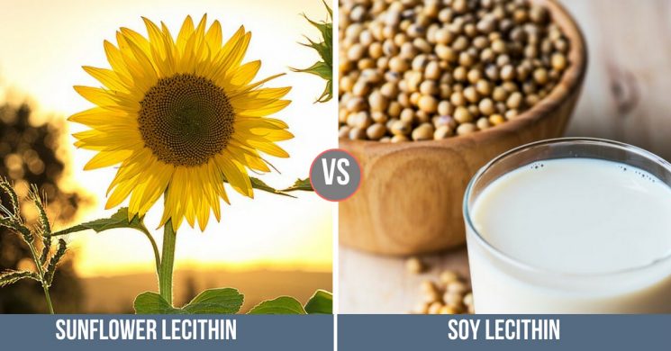 sunflower vs soy lecithin